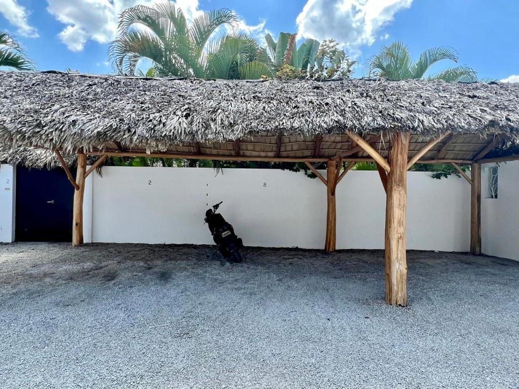 Villa Clarissa No. 8 Las Terrenas Exteriér fotografie