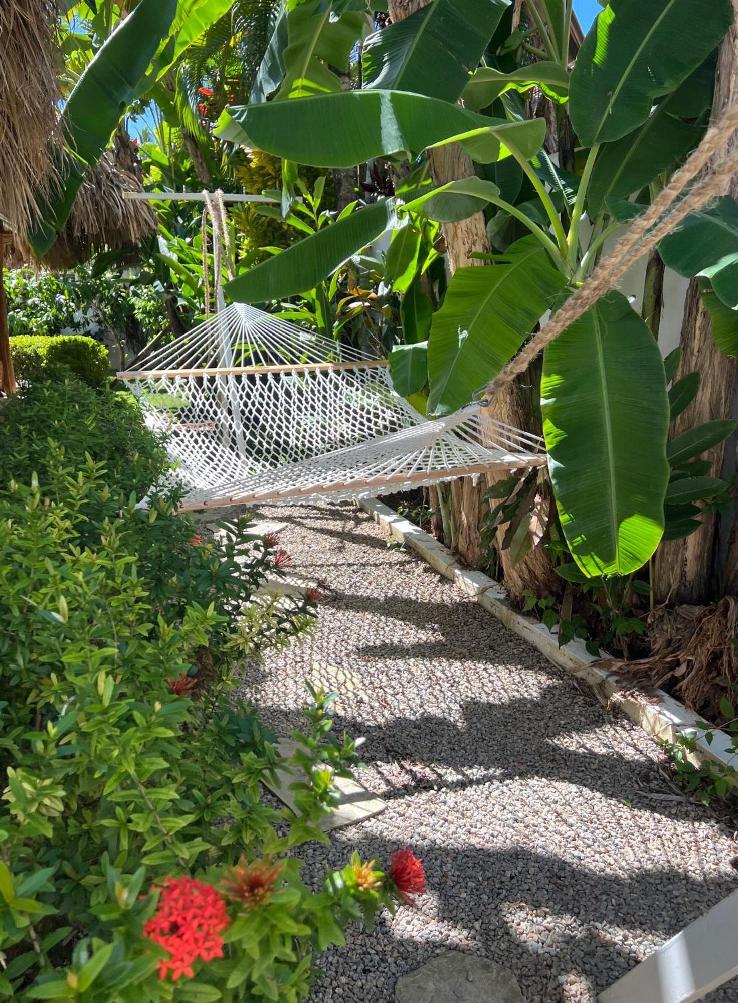 Villa Clarissa No. 8 Las Terrenas Exteriér fotografie